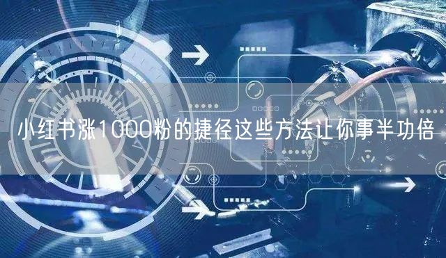 小红书涨1000粉的捷径这些方法让你事半功倍