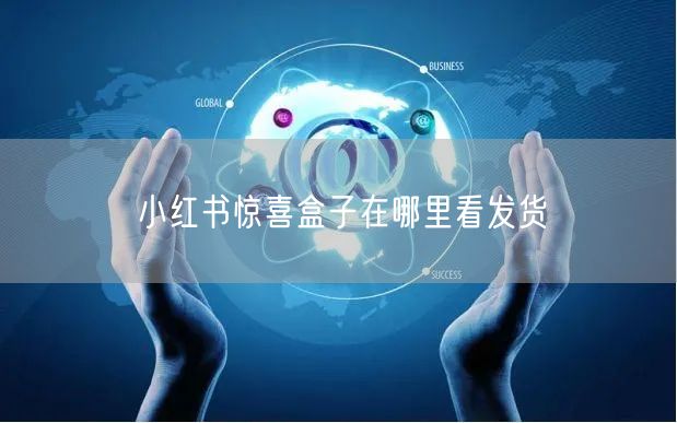 小红书惊喜盒子在哪里看发货