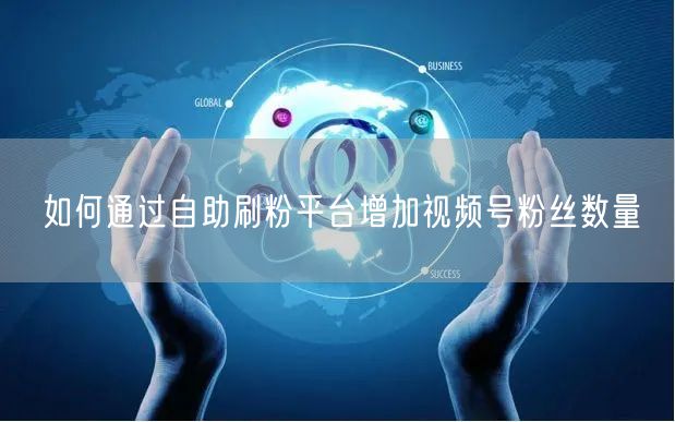 如何通过自助刷粉平台增加视频号粉丝数量
