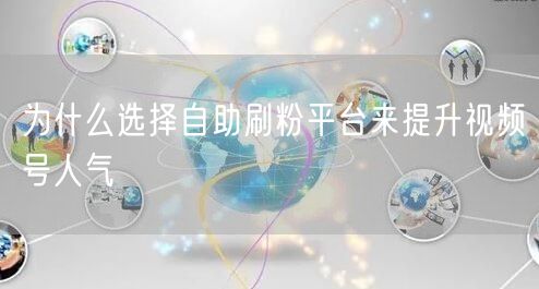 为什么选择自助刷粉平台来提升视频号人气